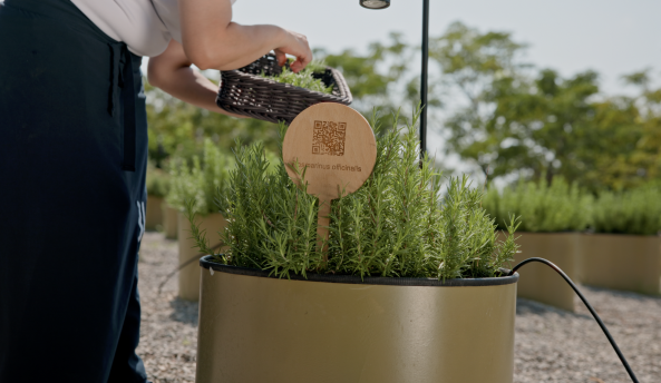 Akra Ethical Cevre Card D