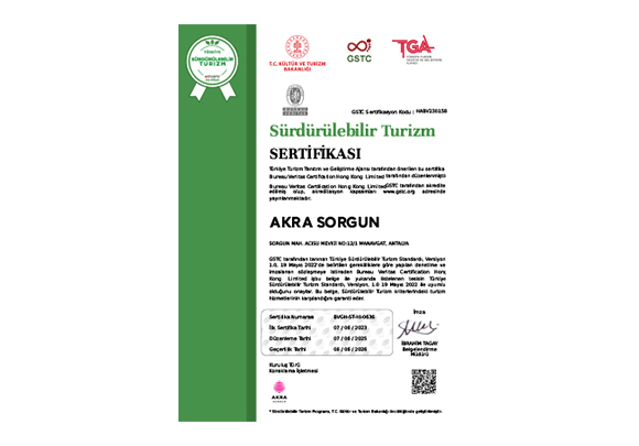 Akra Sorgun Odul 1