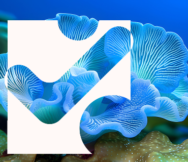 Ethical Iletisim Mobil