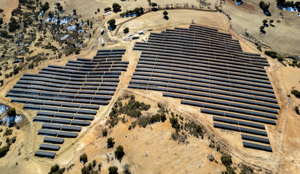 Akra Ethical Sektor Card D