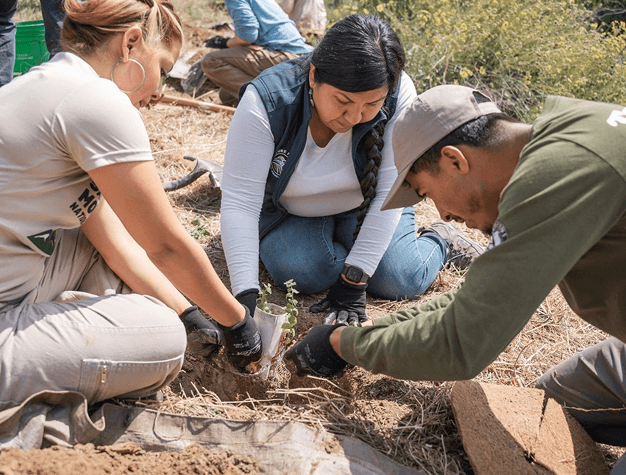 Ethical Sivil Toplum Kurulusları D3